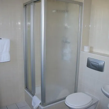 Goldener Loewe Mit Am Taurastein