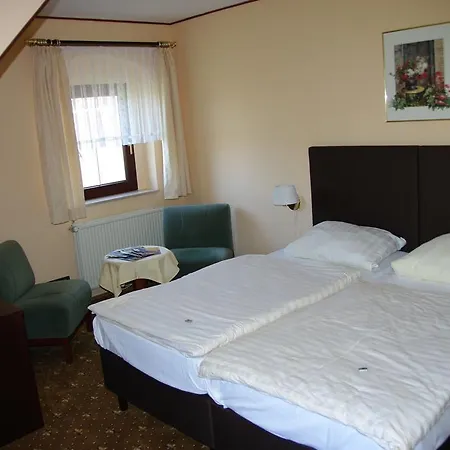 Hotel Goldener Loewe Mit Am Taurastein Burgstadt