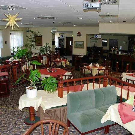 Goldener Loewe Mit Am Taurastein