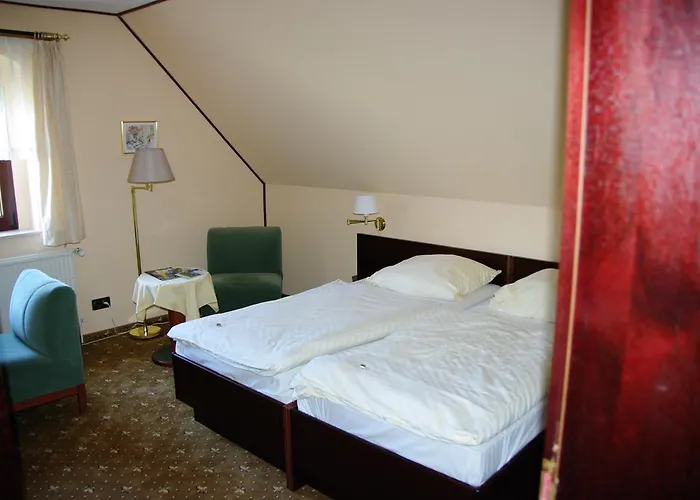 Goldener Loewe Mit Am Taurastein