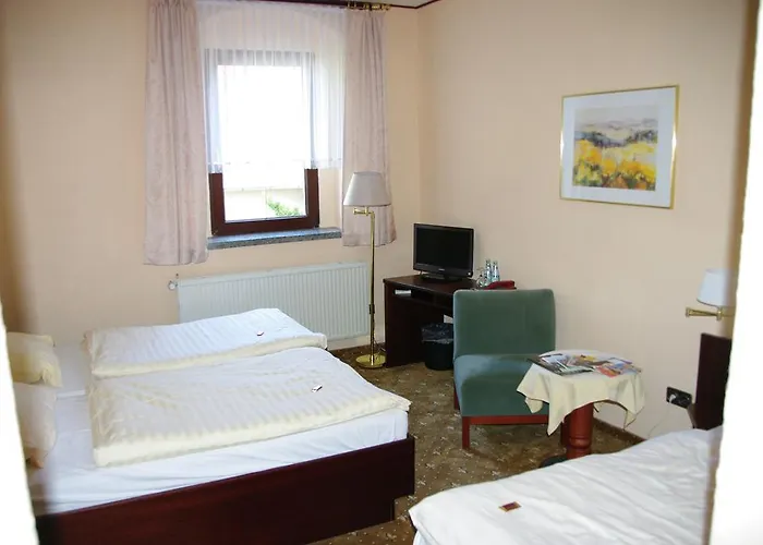 Goldener Loewe Mit Am Taurastein